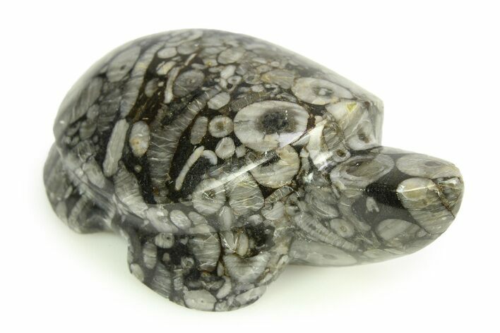 Carved Crinoid Stems in Marble Turtle #308314